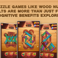 Why Puzzle Games Like Wood Nuts and Bolts Are More Than Just Fun: Cognitive Benefits Explored